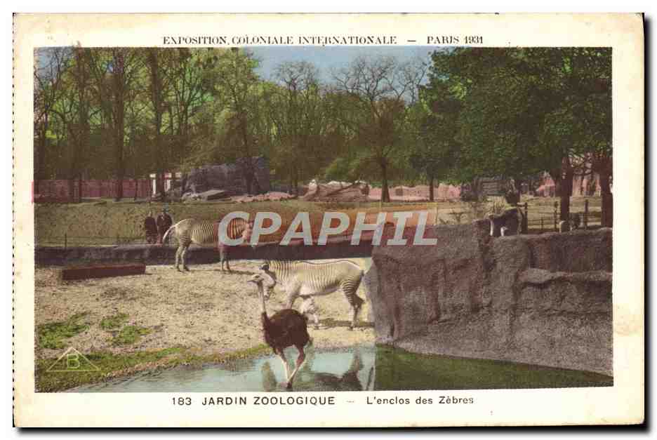 CPA Zoo Paris Exposition coloniale internationale 1931 Jardin zoologique L'enclos des zebres 