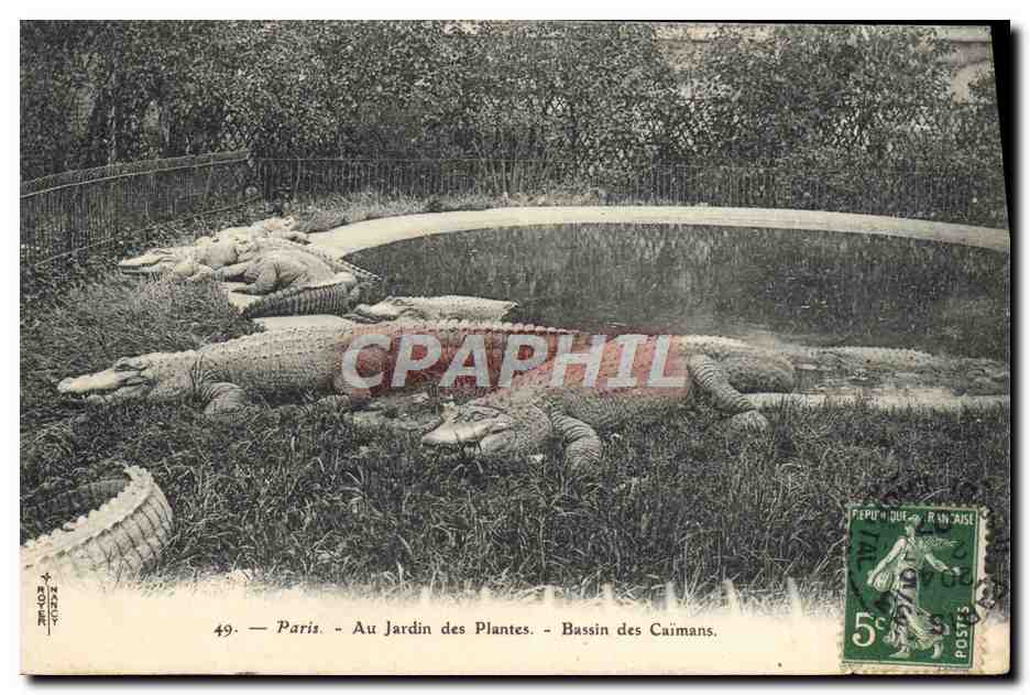 Paris — Au Jardin des Plantes — Bassin des Caimans — n°49