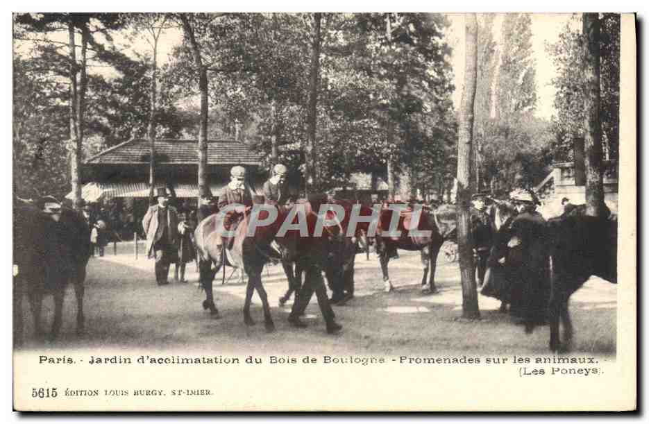 CPA Zoo Paris Jardin d'acclimatation du Bois de Boulogne Promenades sur les animaux Les poneys 