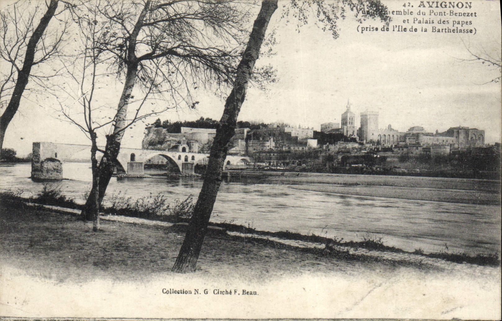 CPA Avignon Vue d'ensemble du pont Benezet et palais des papes prise de l'ile de la Barthelaise