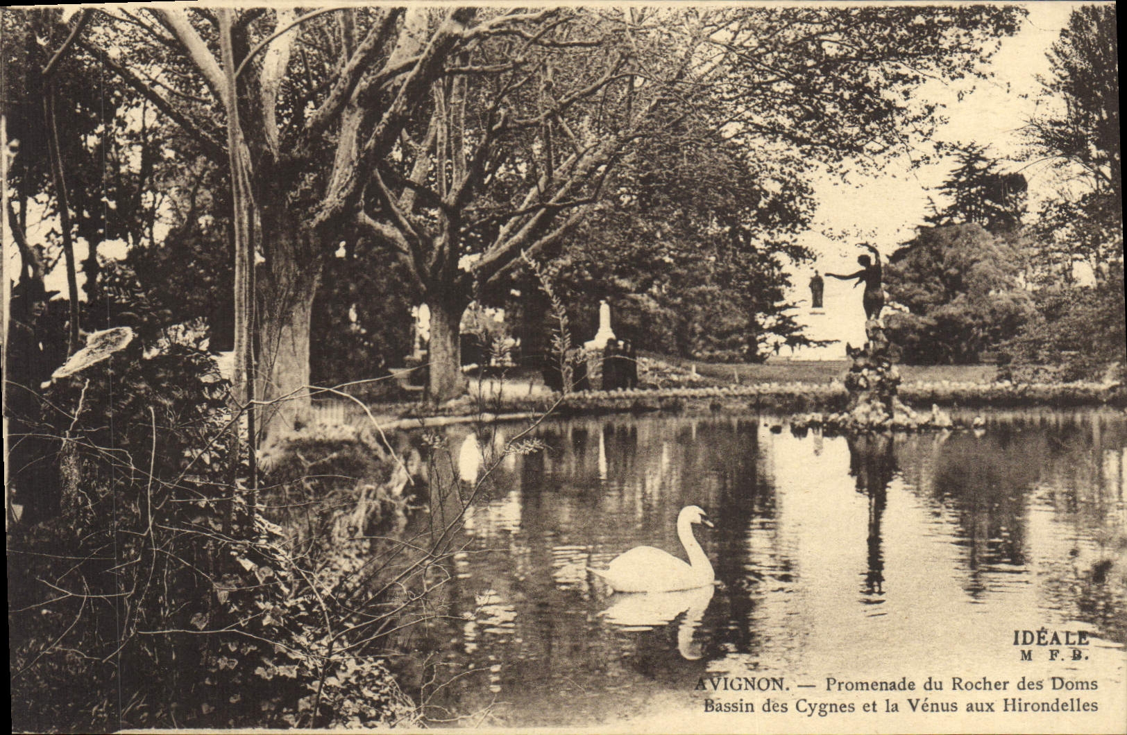 Avignon — Promenade du Rocher des Doms. Bassin des Cygnes et la Vénus aux Hirondelles — Idéale M.F.B.