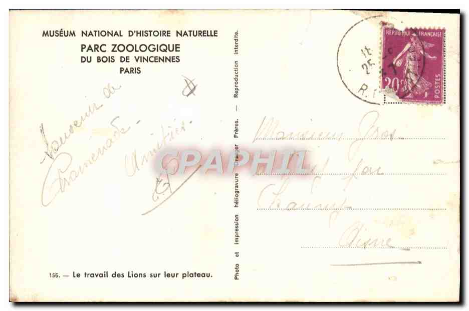CPA Parc zoologique du Bois de Vincennes Paris le travail des lions sur leur plateau — Rückseite