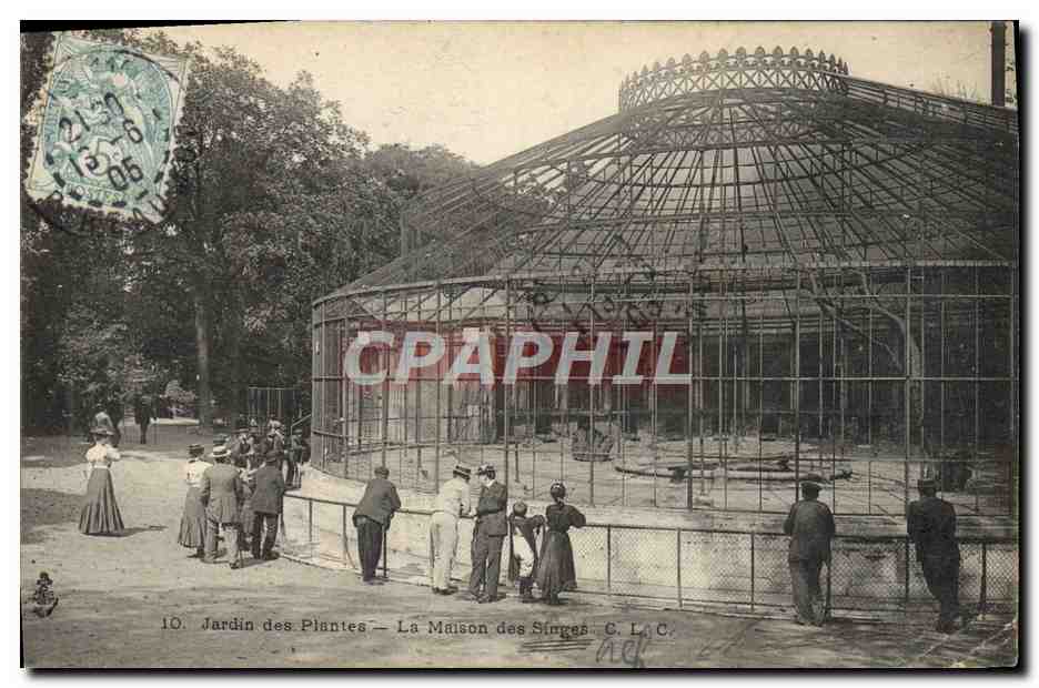 CPA Paris Jardin des Plantes La maison des singes 