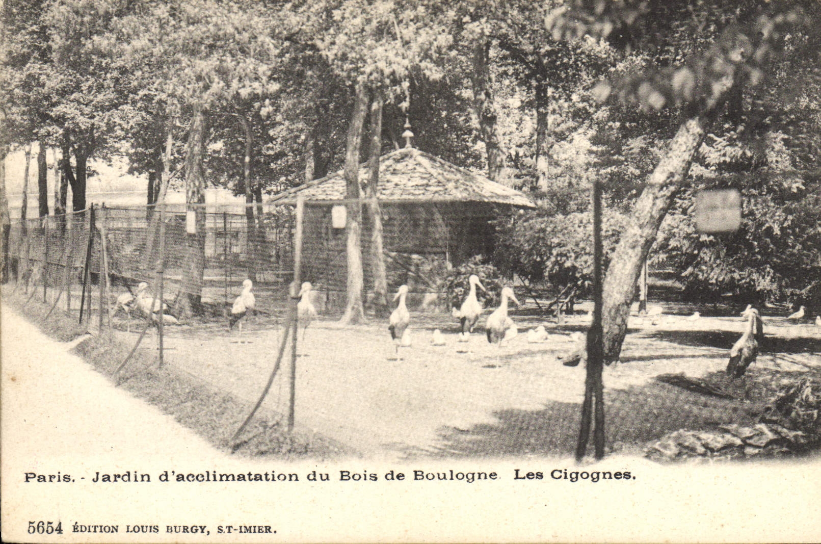 CPA Paris Jardin d'acclimatation du Bois de Boulogne Les cigognes