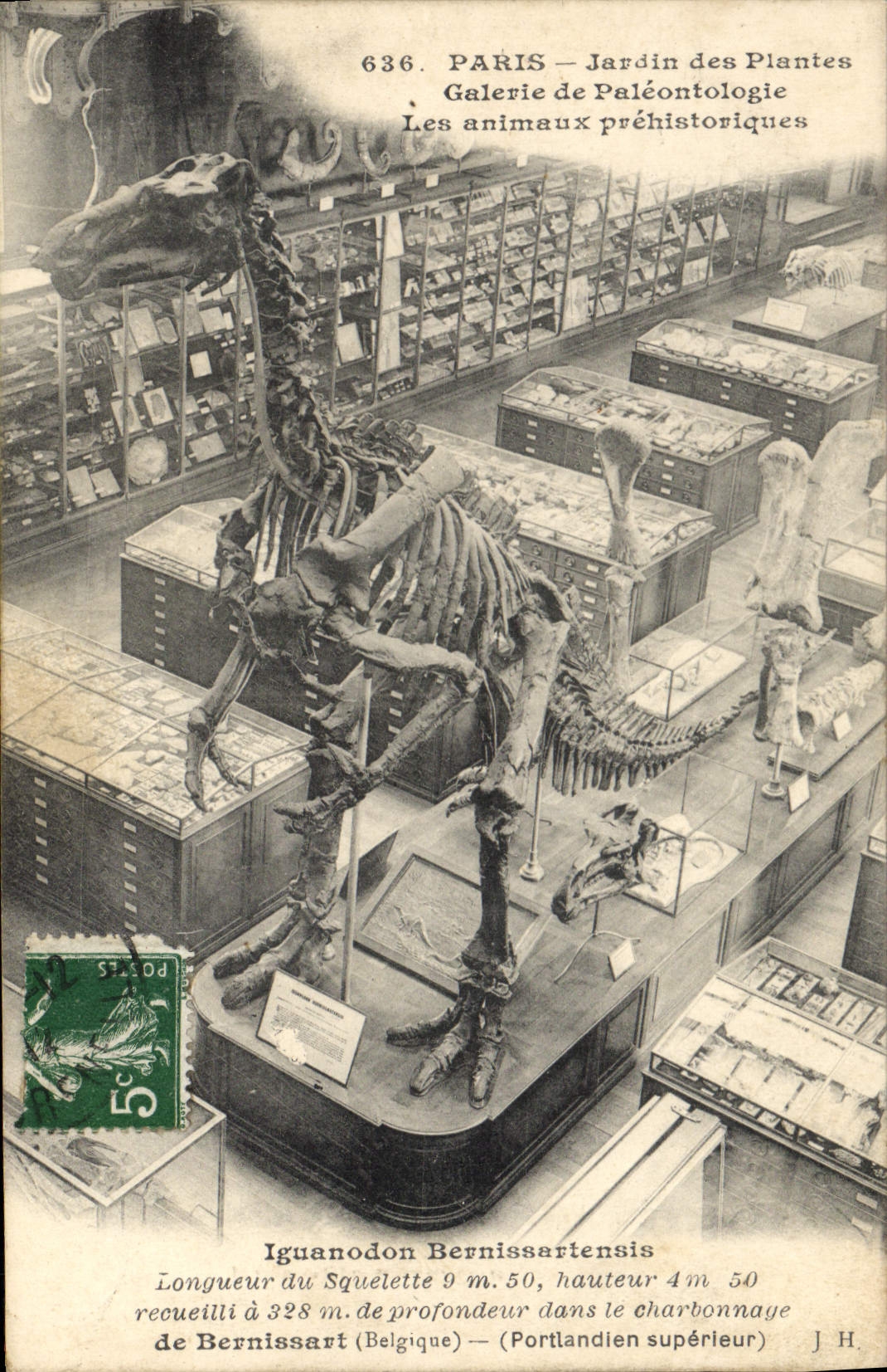 PARIS — Jardin des Plantes — Galerie de Paléontologie — Iguanodon Bernissartensis
