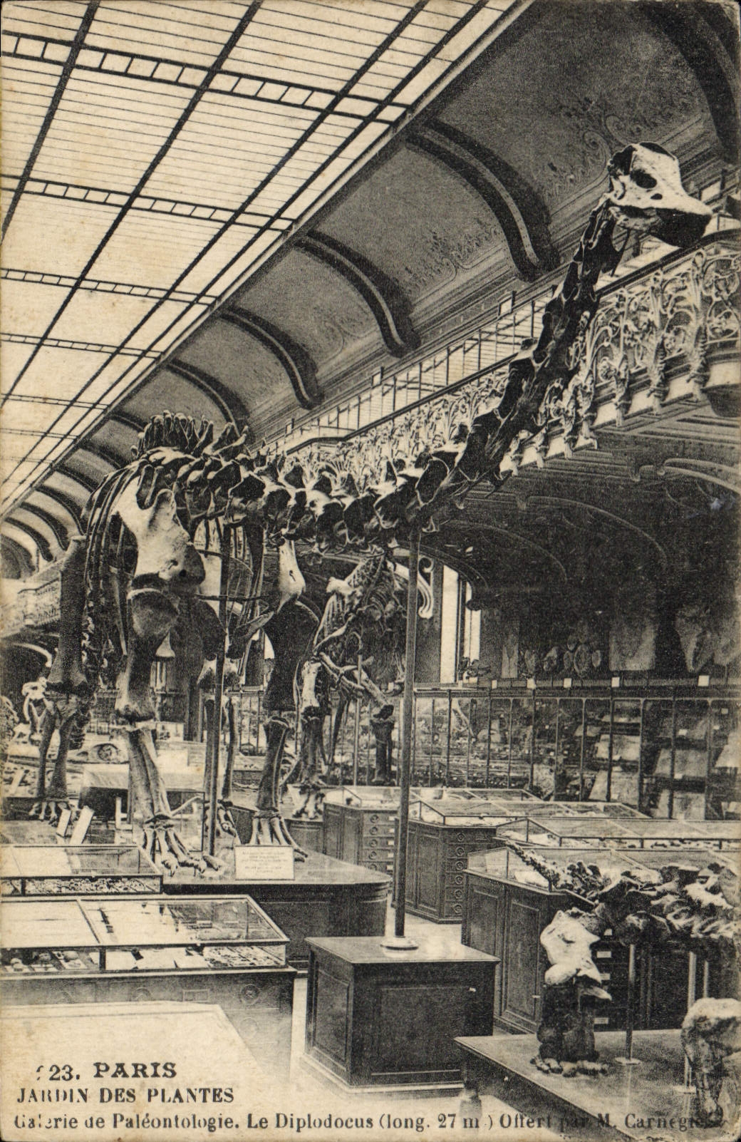 CPA Paris Jardin des Plantes Galerie de paleontologie Le diplodocus