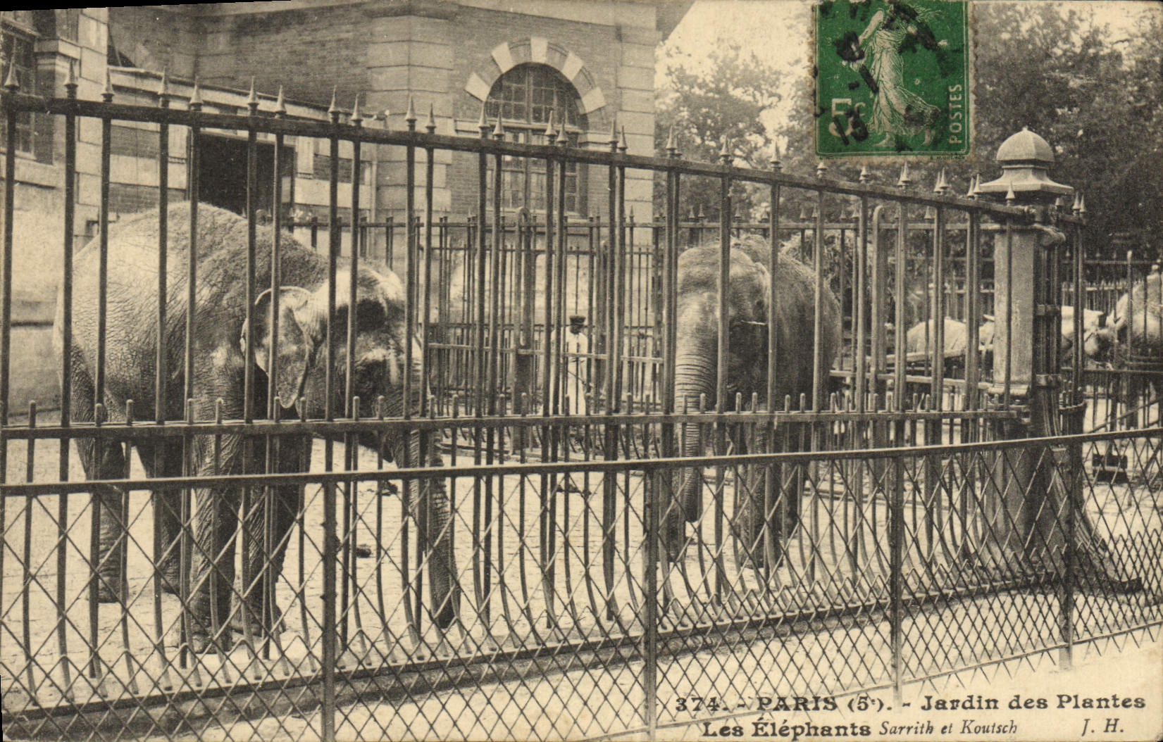 CPA Paris Jardin des plantes Les elephants Sarrith et Koutsch 