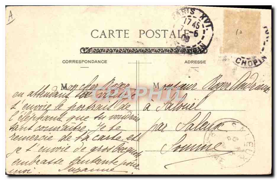 CPA Paris Jardin des Plantes Le grand elephant Enfants — Rückseite
