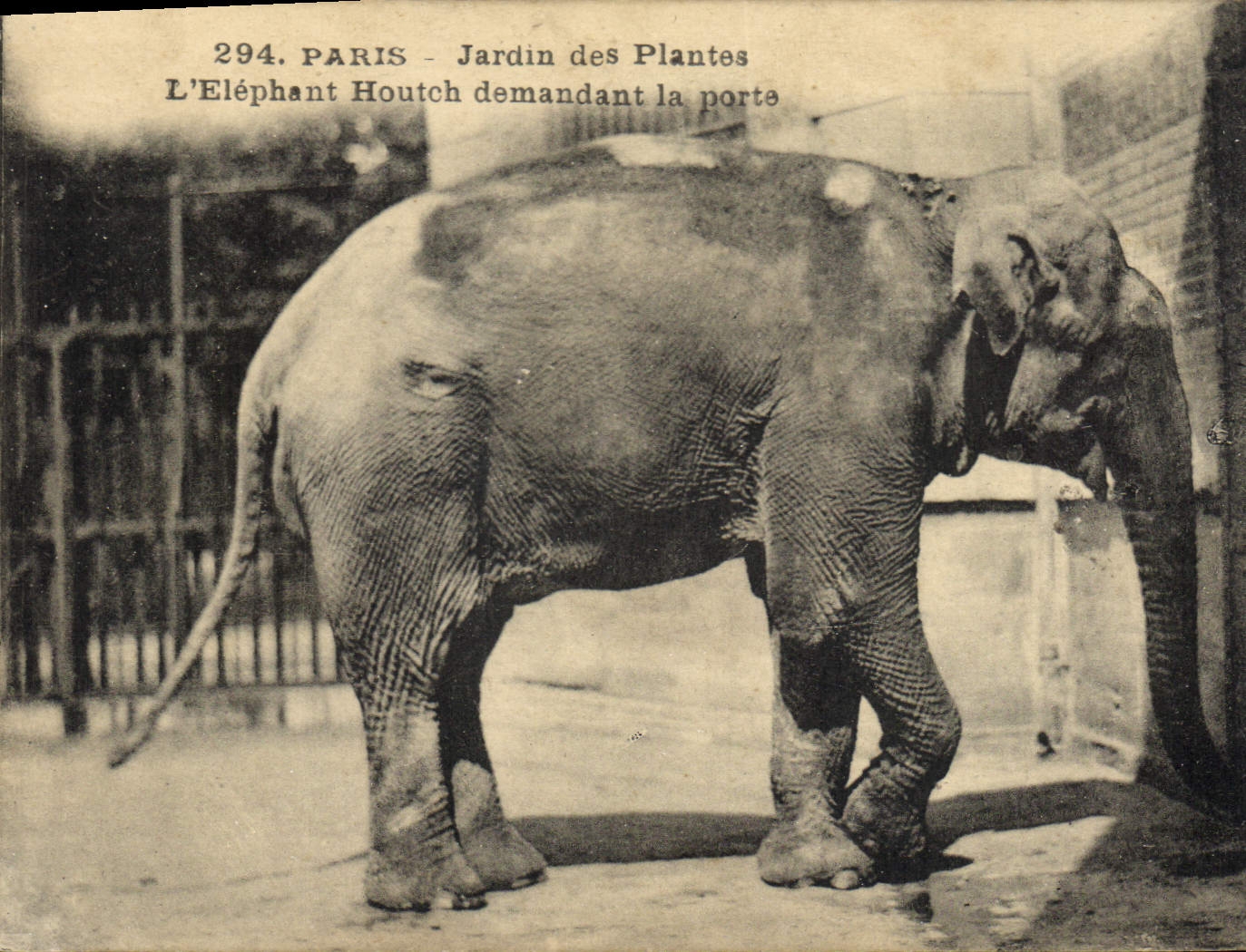 Paris - Jardin des Plantes — L'Éléphant Houtch demandant la porte — n° 294