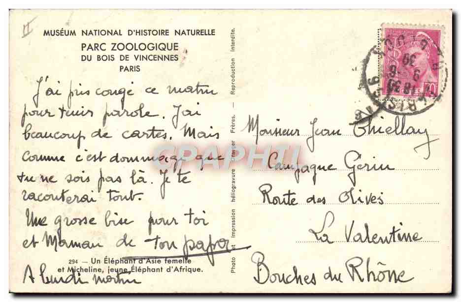 CPA Parc zoologique du Bois de Vincennes Paris Un elephant d'Asie femelle et Micheline — Rückseite