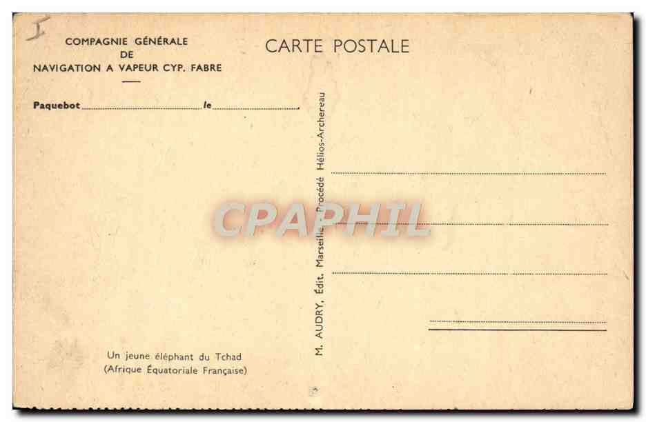 CPA Un jeune elephant au Tchad Afrique Equatoriale Francaise  — Rückseite