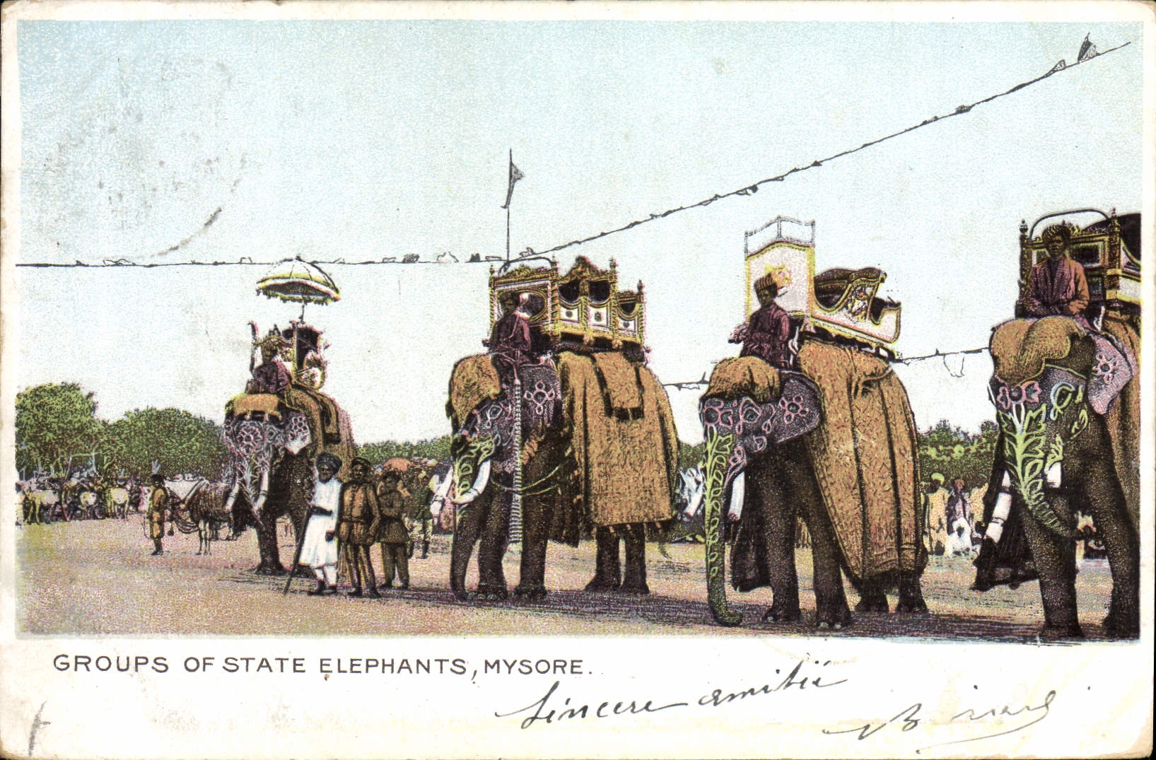 CPA Elephant Groups of state elephants Mysore 