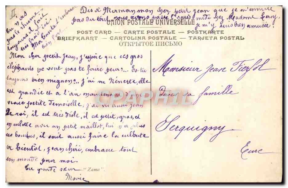 CPA Elephant Salon 1906 Motte Zama — Rückseite