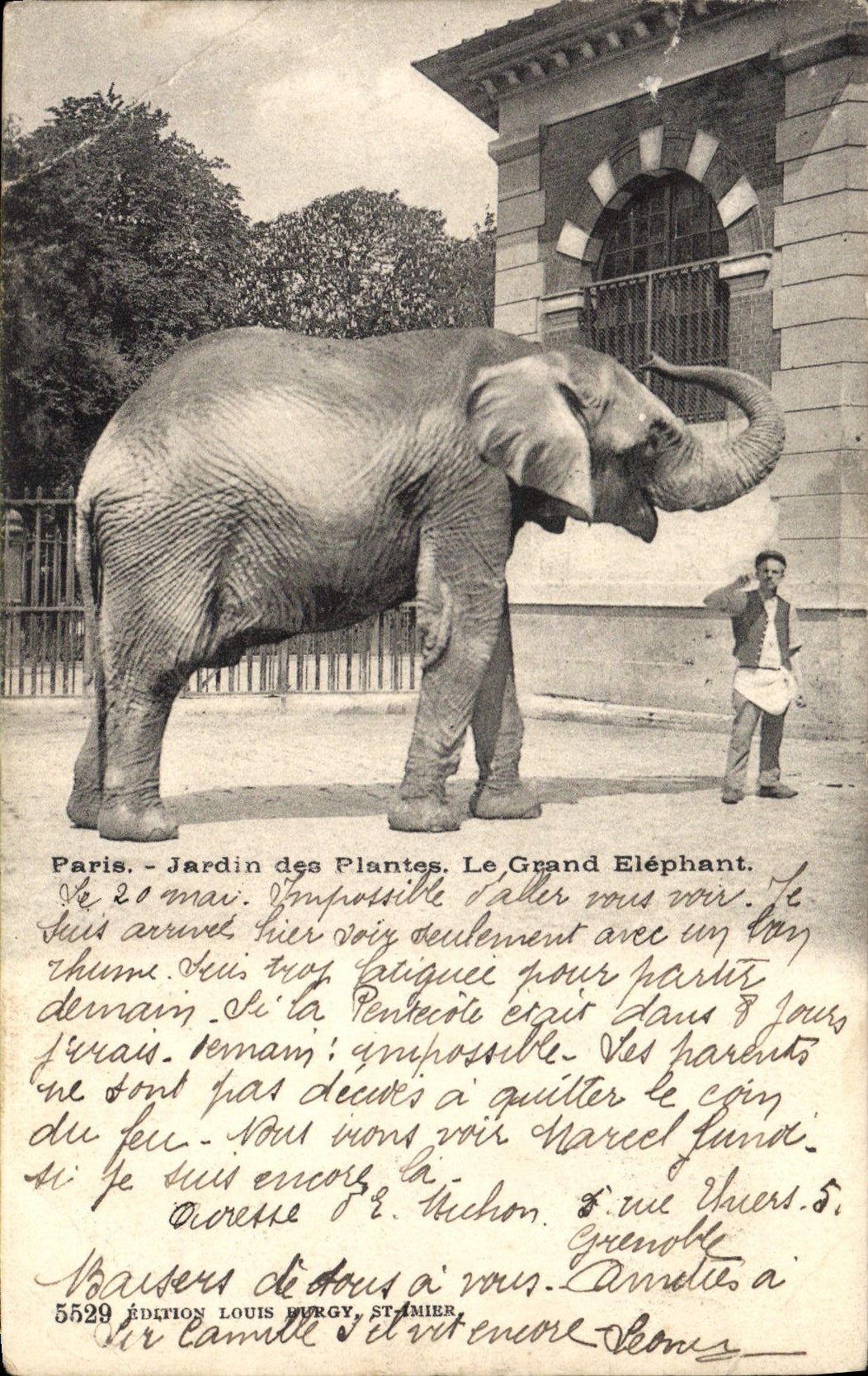 CPA Elephant Paris Jardin des plantes Le grand elephant