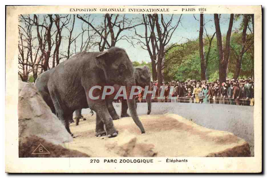 CPA Elephant Exposition coloniale internationale Paris 1931 Elephants