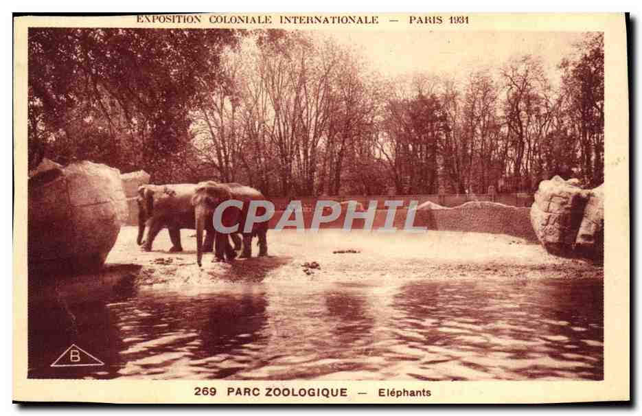 CPA Elephant Exposition coloniale internationale Paris 1931 Elephants