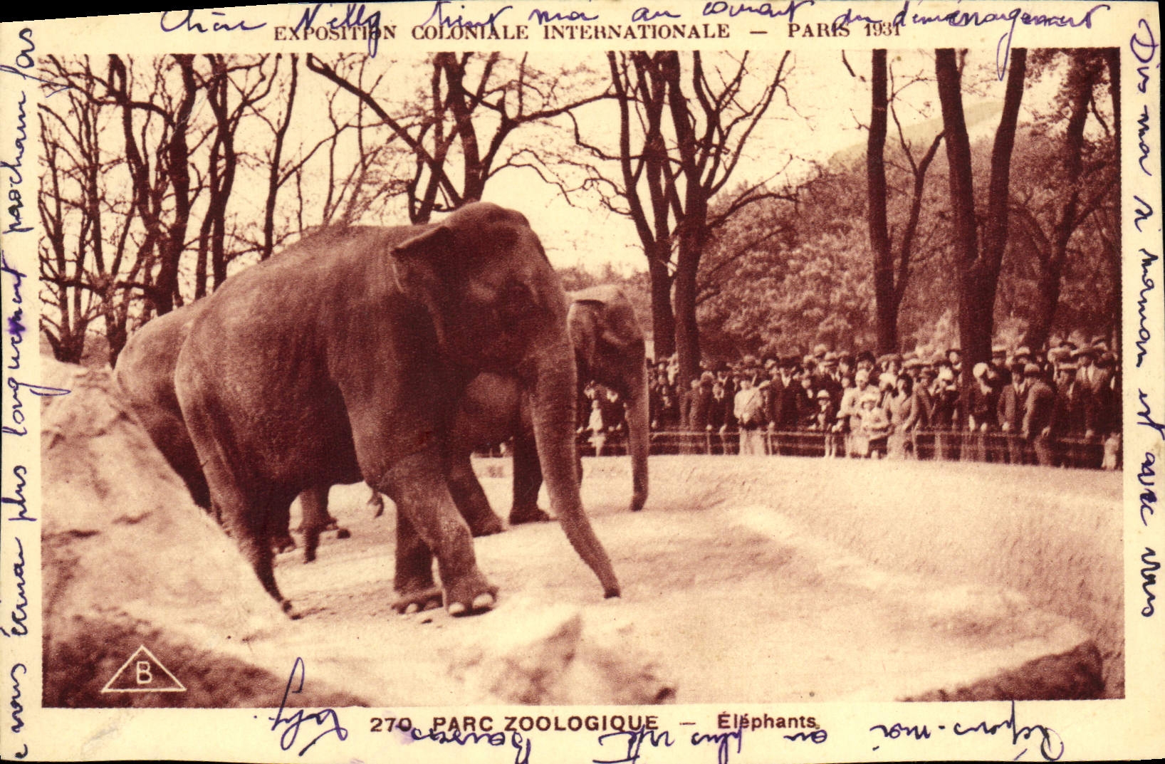 CPA Elephant Exposition coloniale internationale Paris 1931 Elephants
