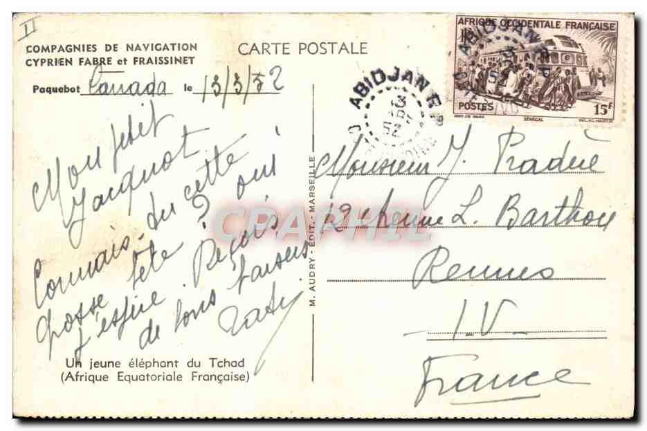 CPA Un jeune Elephant du Tchad Afrique Equatoriale Francaise  — Rückseite