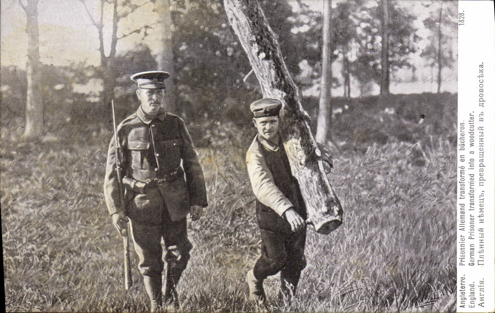 Prisonnier Allemand transformé en bûcheron — Angleterre, 1928
