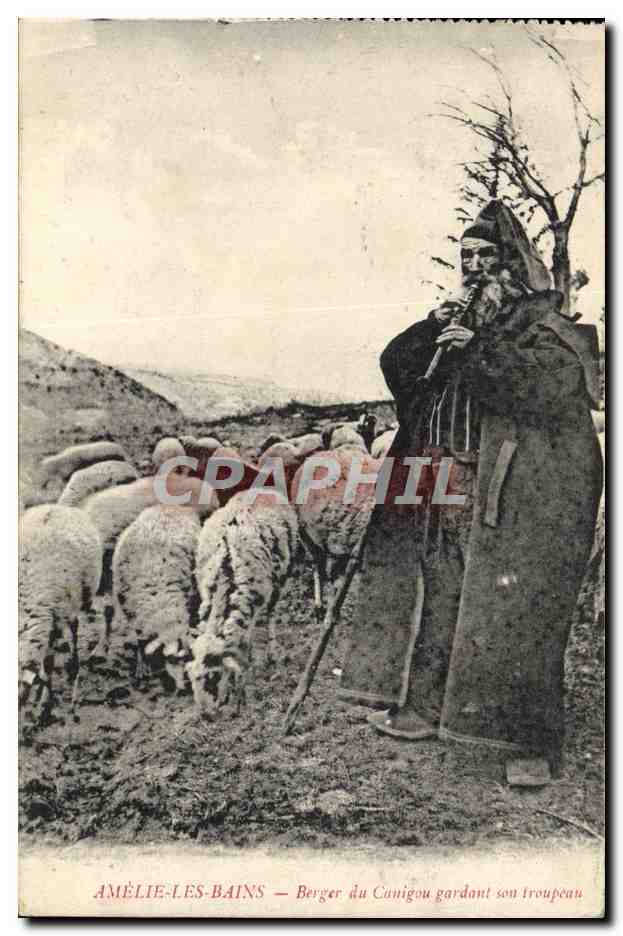 CPA Folklore Amelie les Bains Berger du Canigou gardant son troupeau Moutons