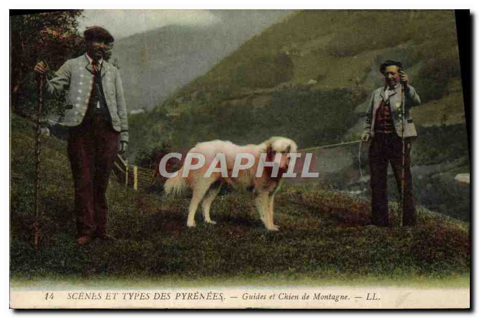 CPA Folklore Pyrenees Guides et chien de montagne