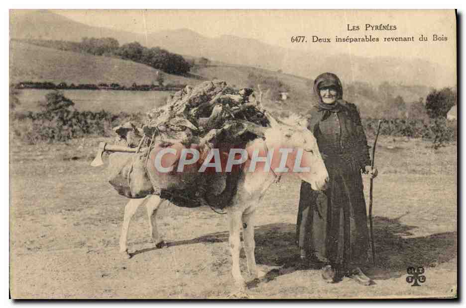 CPA Folklore Pyrenees Deux inseparables revenant du bois ane Mule TOP