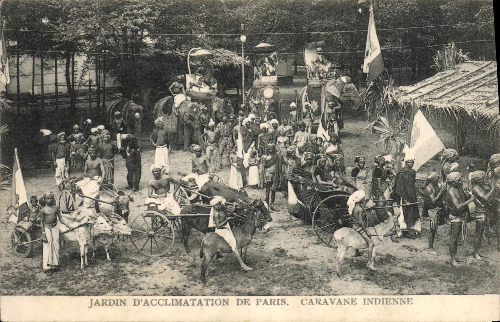 CPA Elephant Jardin d'acclimatation de Paris Caravane indienne Boeufs Ane 
