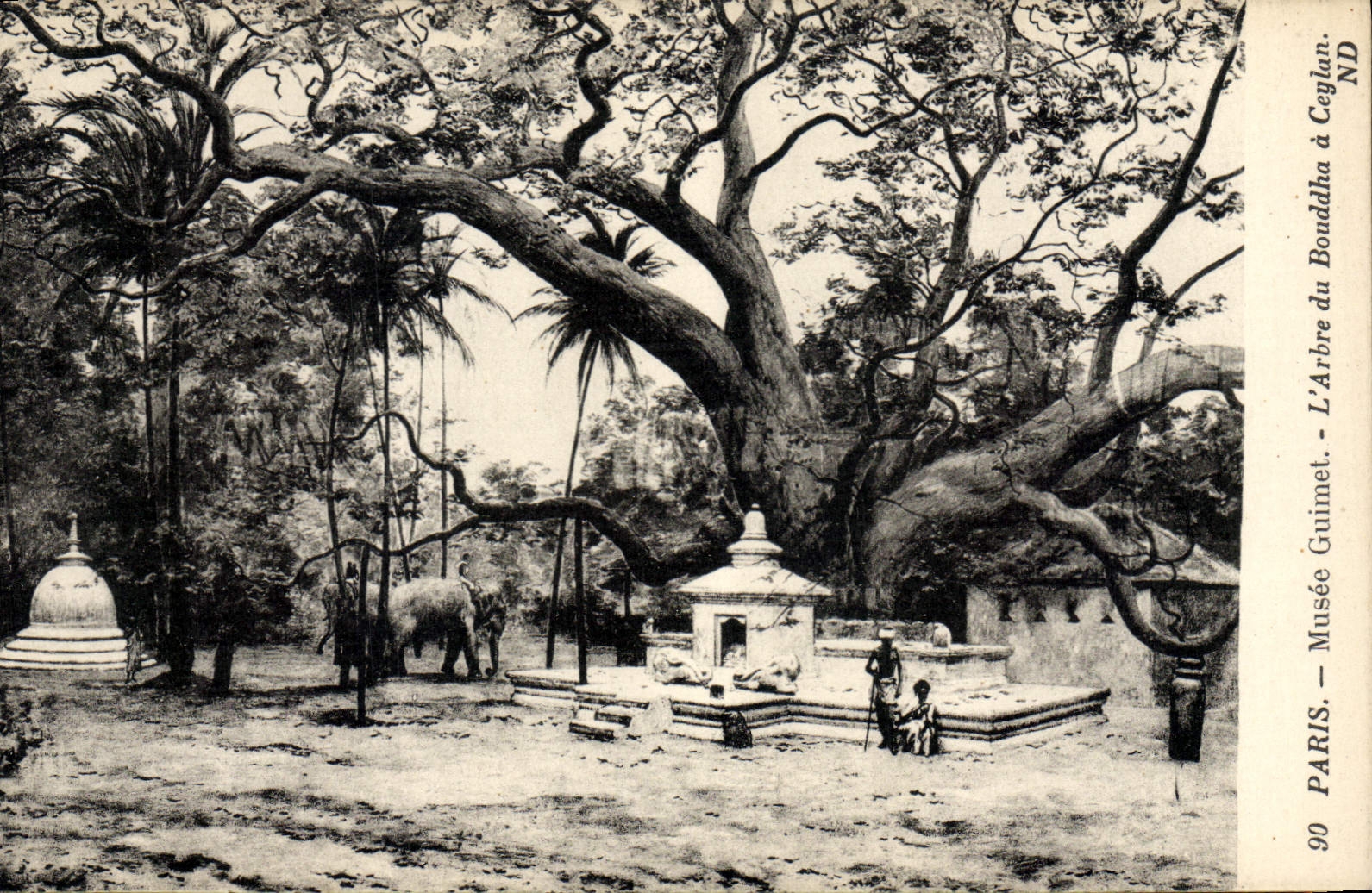 CPA Elephant Paris Musee Guimet L'arbre du Bouddha a Ceylan 
