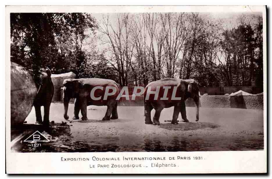 CPA Elephant Paris Exposition coloniale internationale Paris 1931 Le parc zoologique Elephants