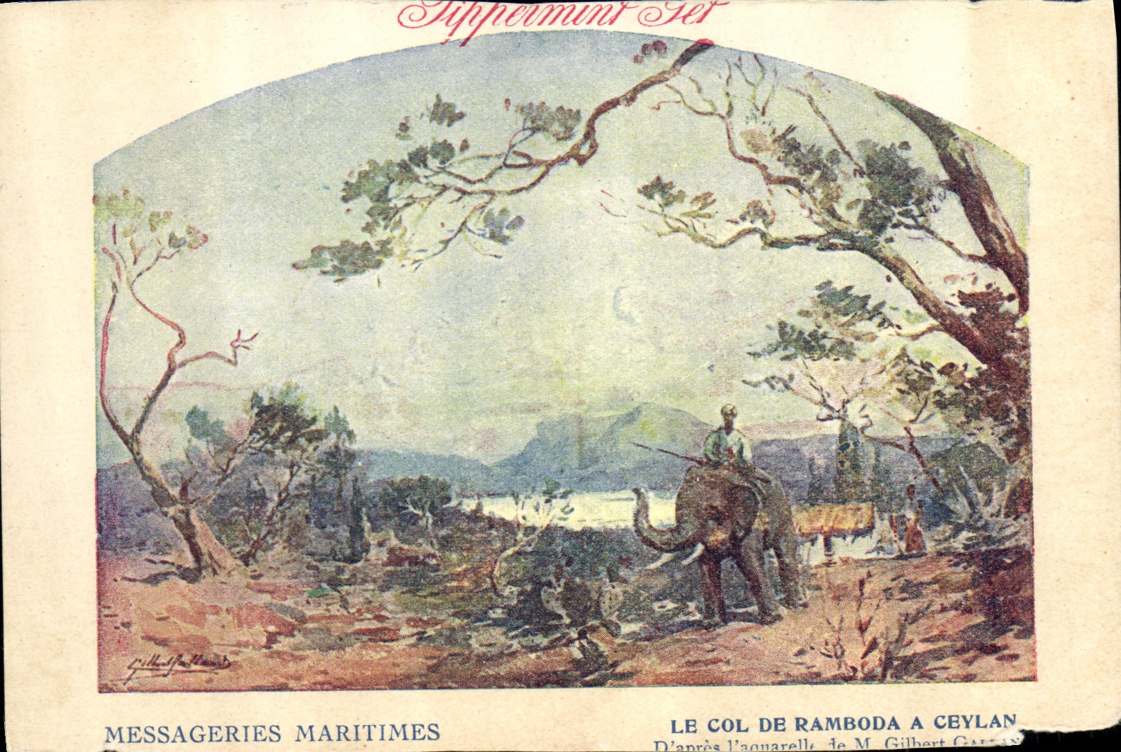 CPA Elephant Messageries Maritimes Le col de Ramboda a Ceylan
