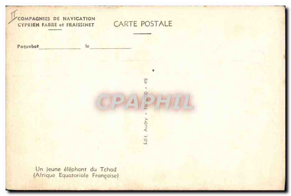 CPA Elephant Tchad Afrique Equatoriale Francaise — Rückseite