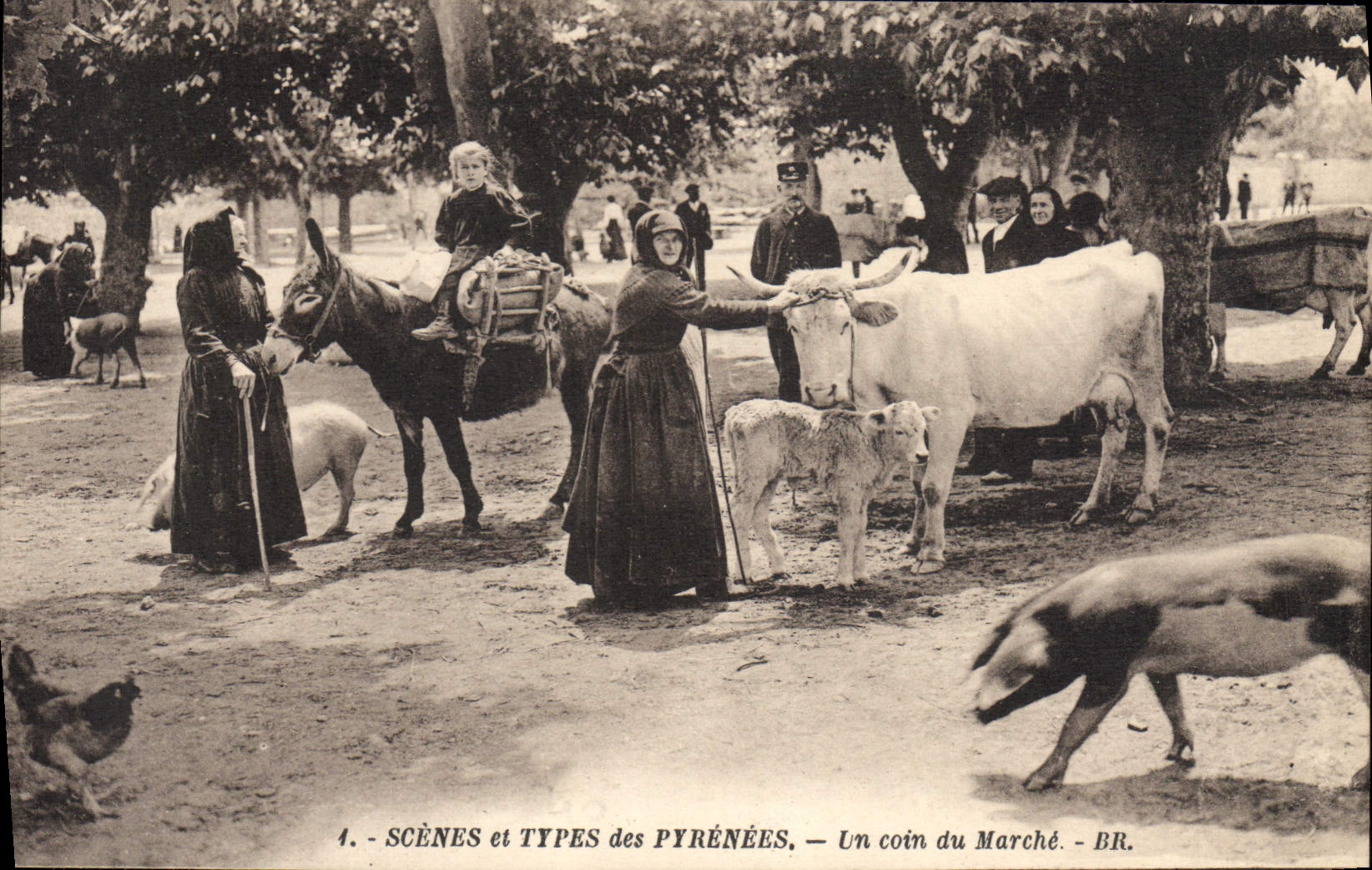 CPA Folklore Pyrenees Un coin du marche Cochon Porc Boeuf ane Mule 