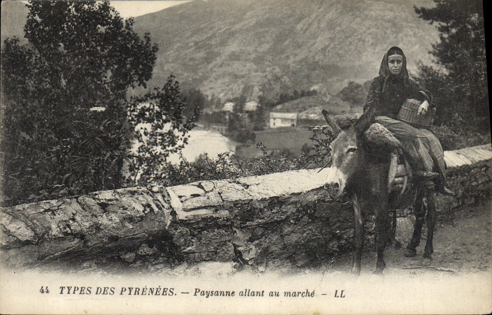 CPA Folklore Pyrenees Paysanne allant au marche Ane Mule 