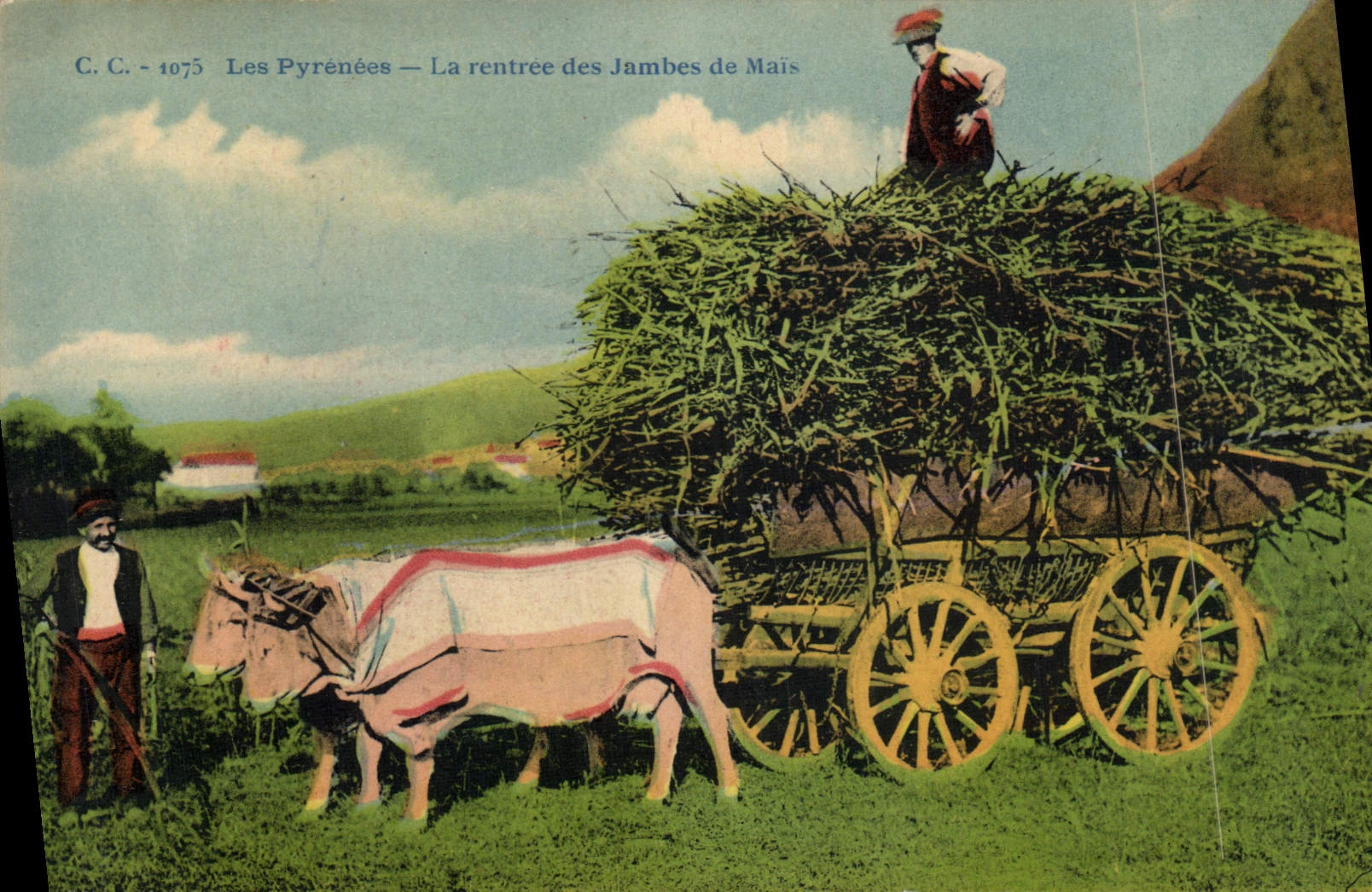 CPA Folklore Pyrenees La rentree des jambes de Mais Boeufs Attelage 