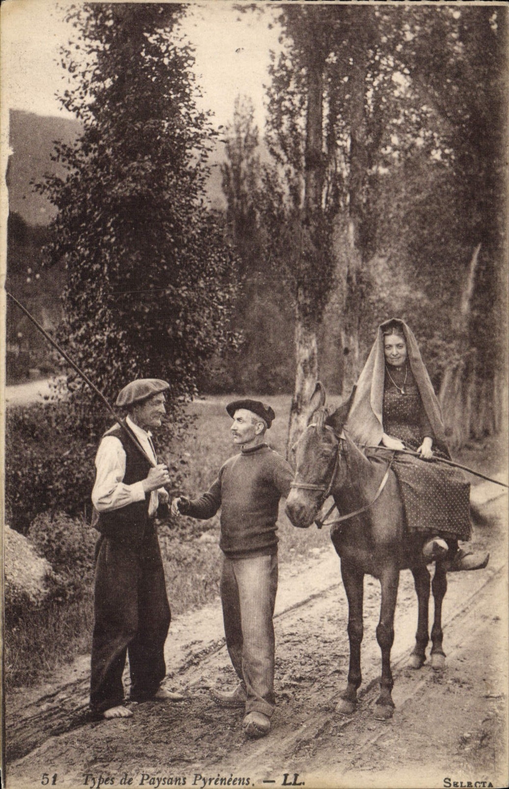 CPA Folklore Types de paysans Pyreneens Ane Mule 