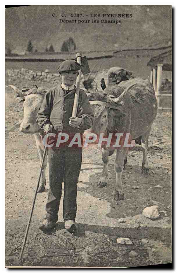 CPA Folklore Pyrenees Depart pour les champs Boeufs Attelage 
