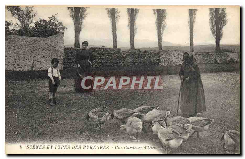 CPA Folklore Pyrenees Une gardeuse d'oies 