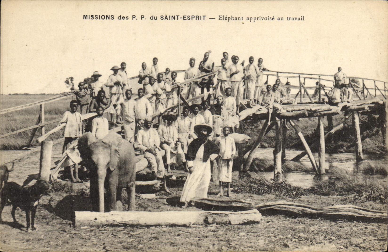 Missions des P.P. du Saint-Esprit — Éléphant apprivoisé au travail
