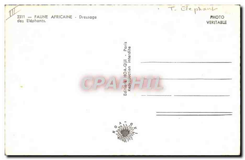 CPM Elephant Faune Africaine Dressage des elephants Afrique Equatoriale — Back