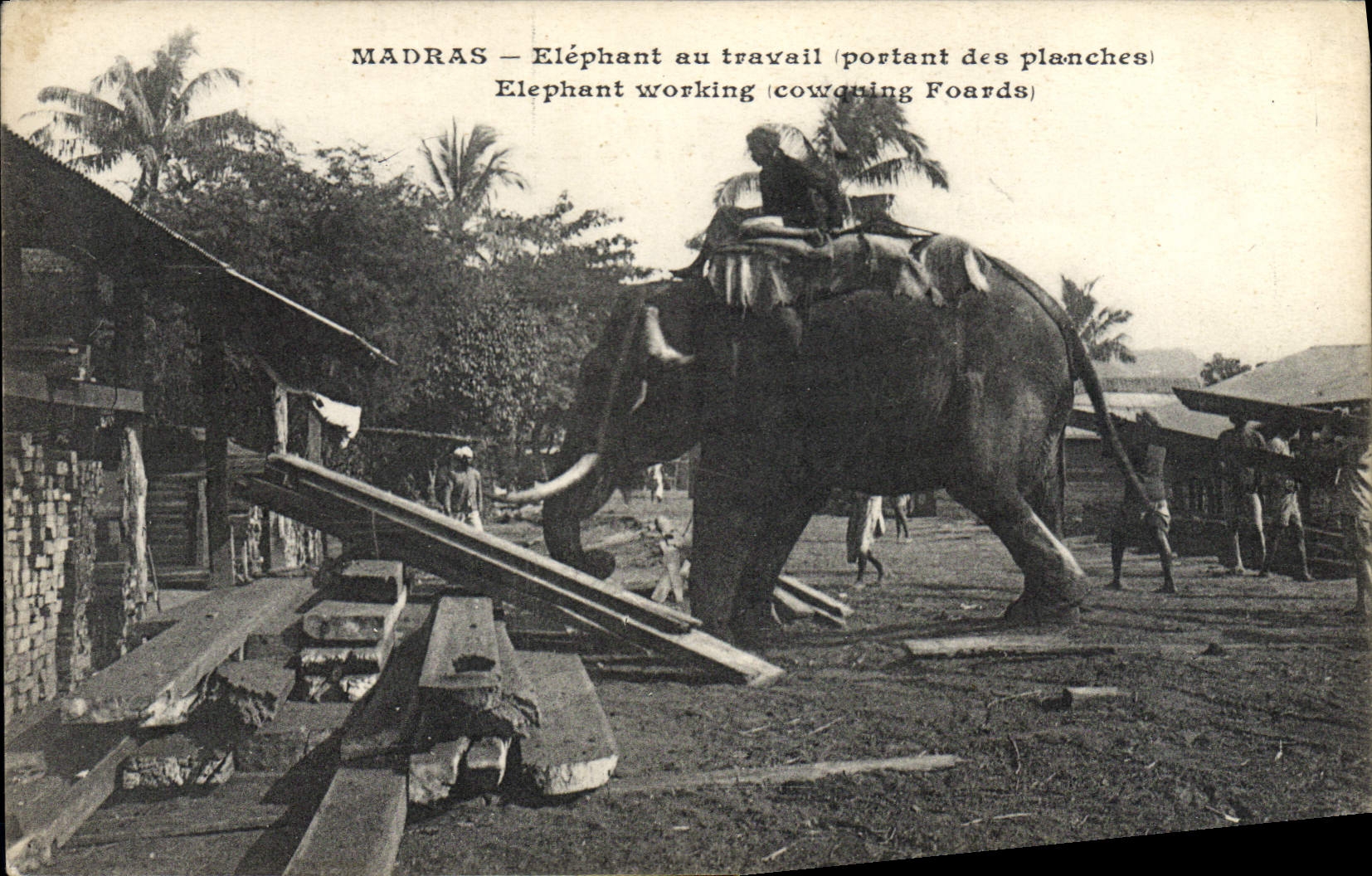 Madras — Éléphant au travail (portant des planches) — Éditeur non identifié