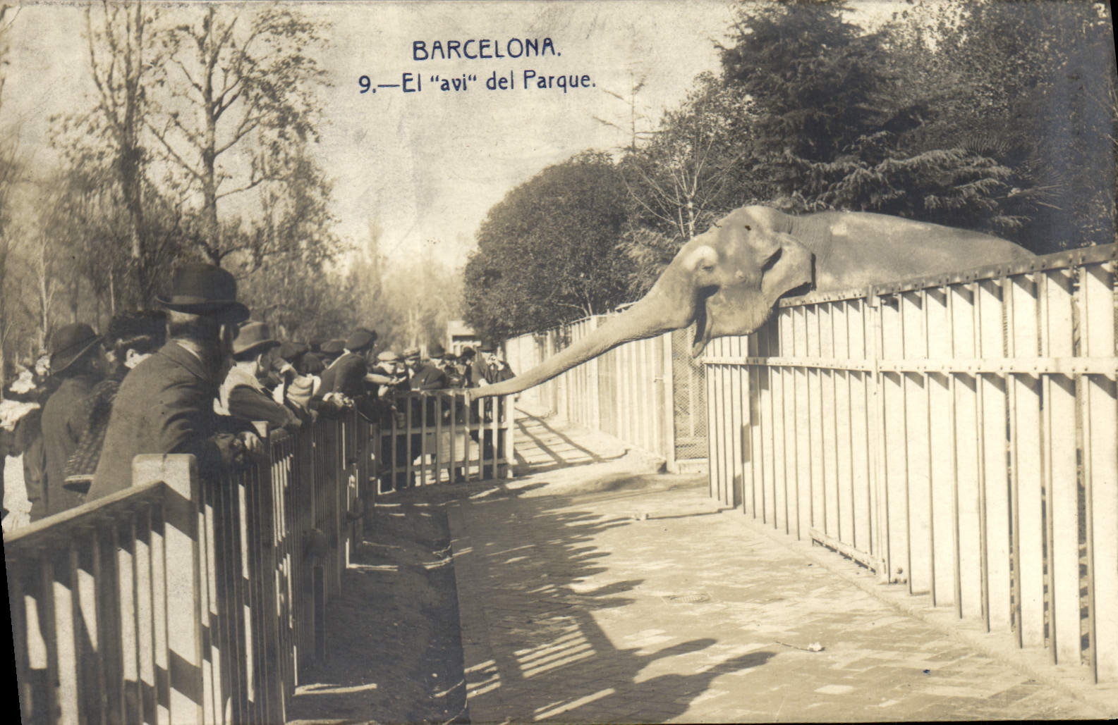 CPA Elephant Barcelona El avi del Parque 