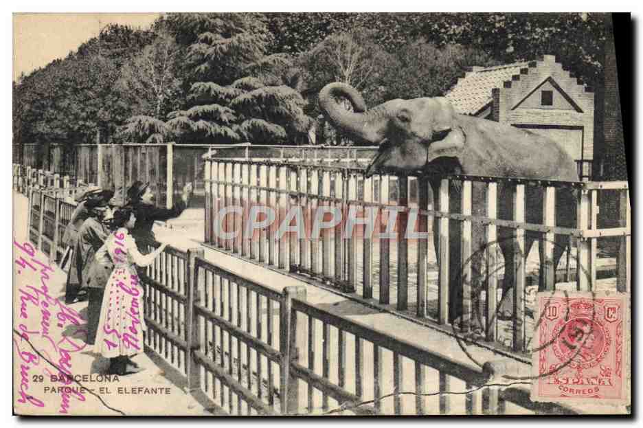 CPA Elephant Barcelona Parque El Elefante