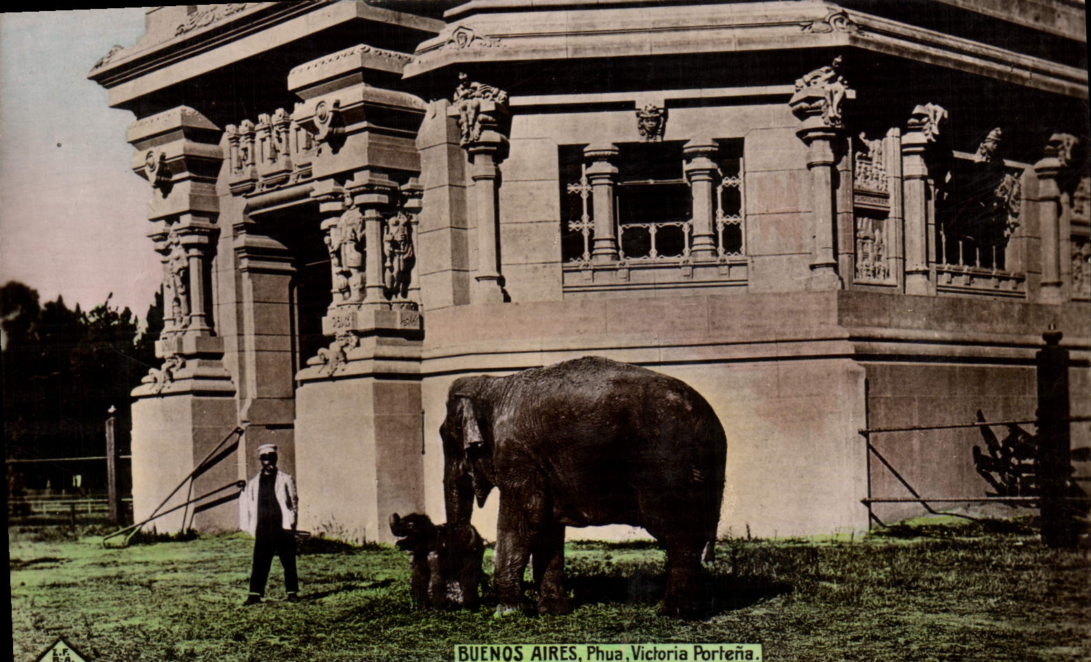 CPA Elephant Buenos Aires Phua Victoria Portena Argentine