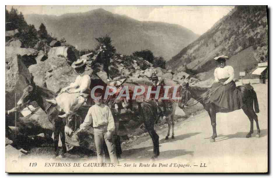 CPA Attelage Environs de Cauterets Sur la route du Pont d'Espagne Cheval