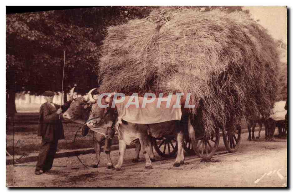 CPA Attelage paysan Pyrenees 