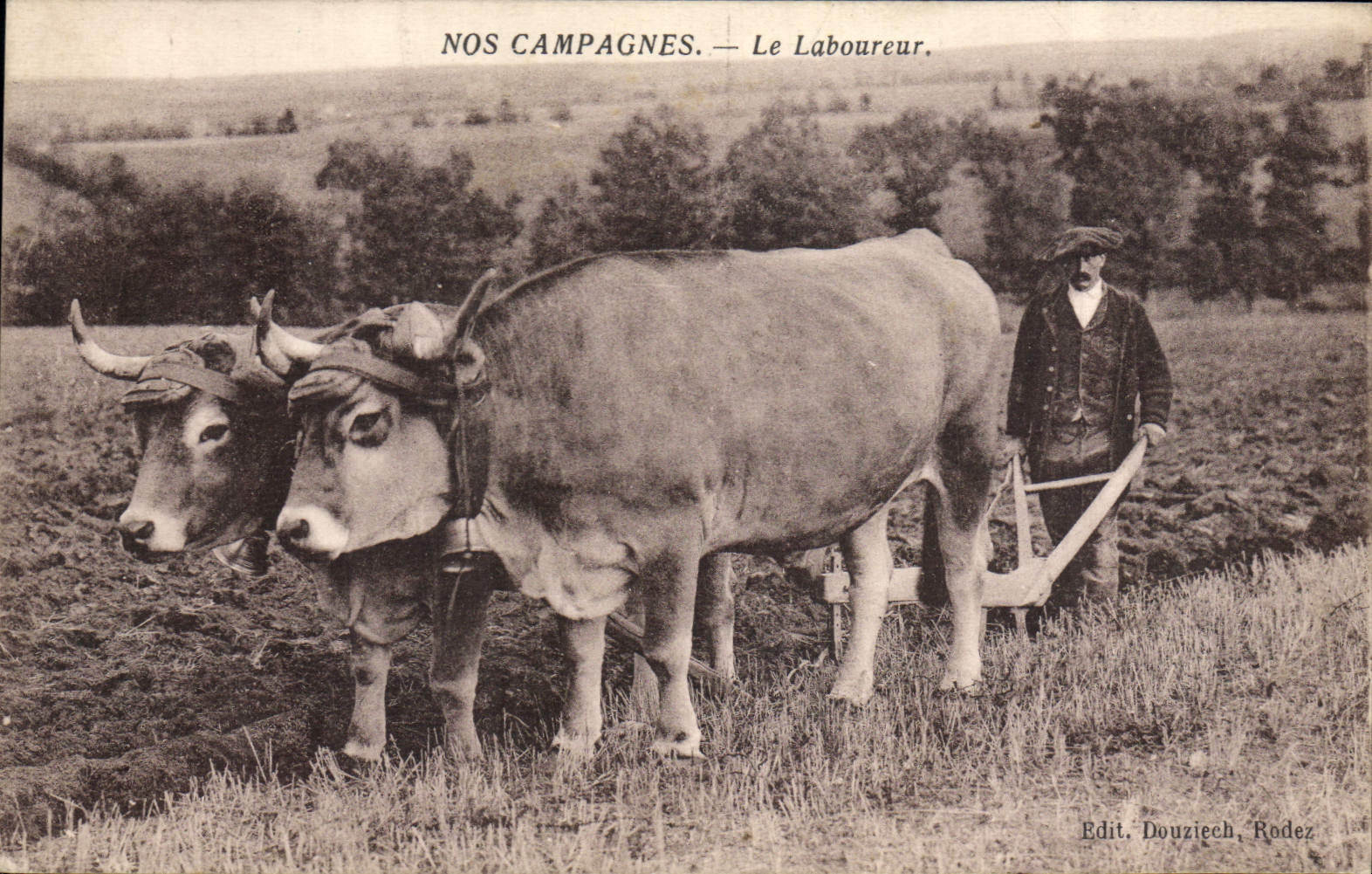 CPA Attelage Le laboureur Pyrenees 