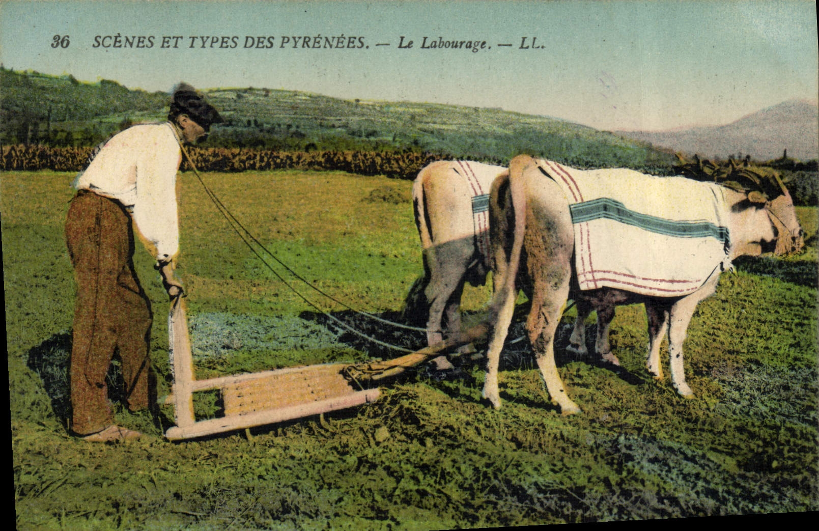 CPA Attelage Le labourage 