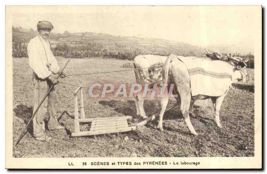 CPA Attelage Pyrenees Le labourage