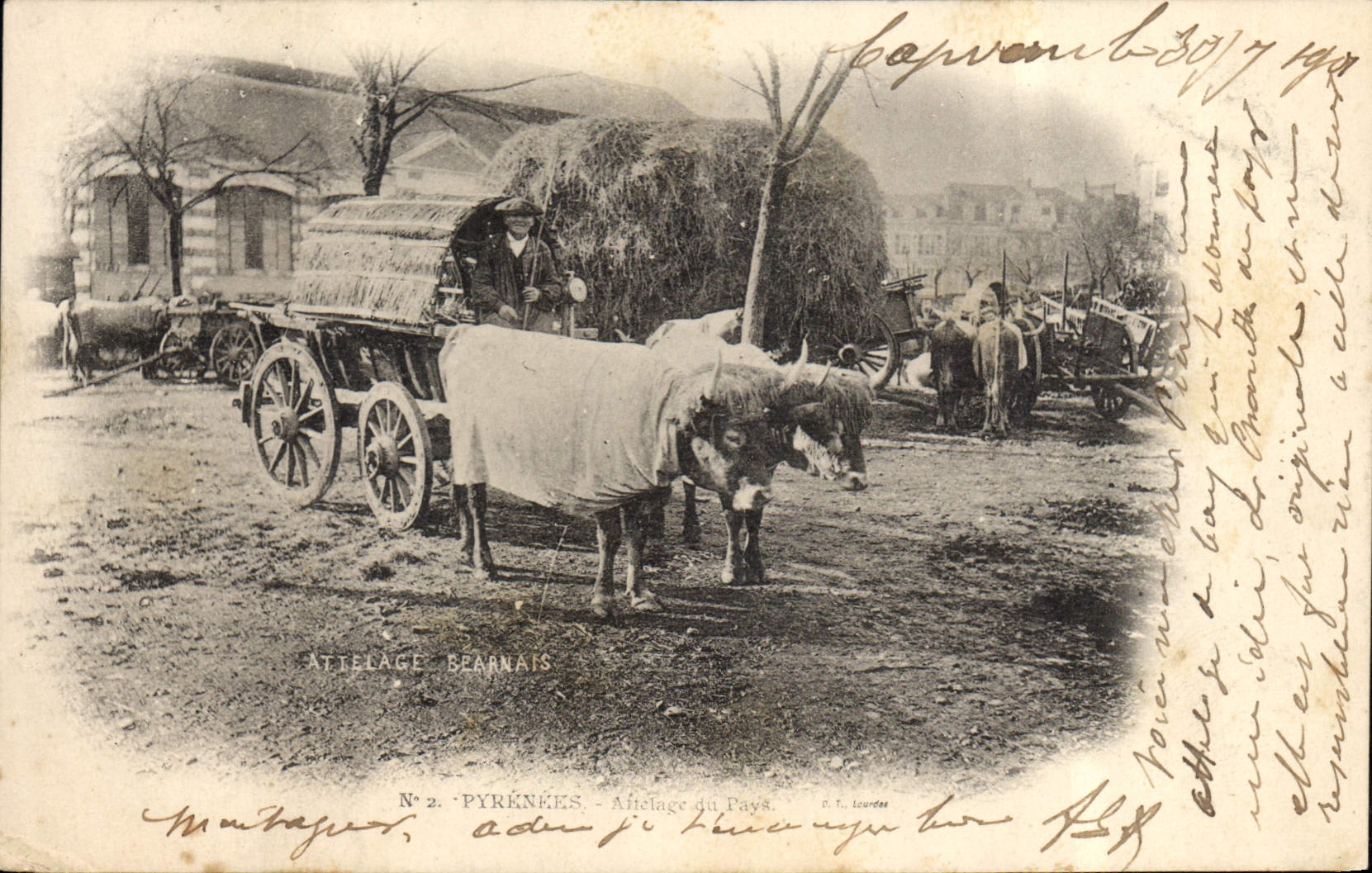 CPA Attelage du pays Pyrenees 
