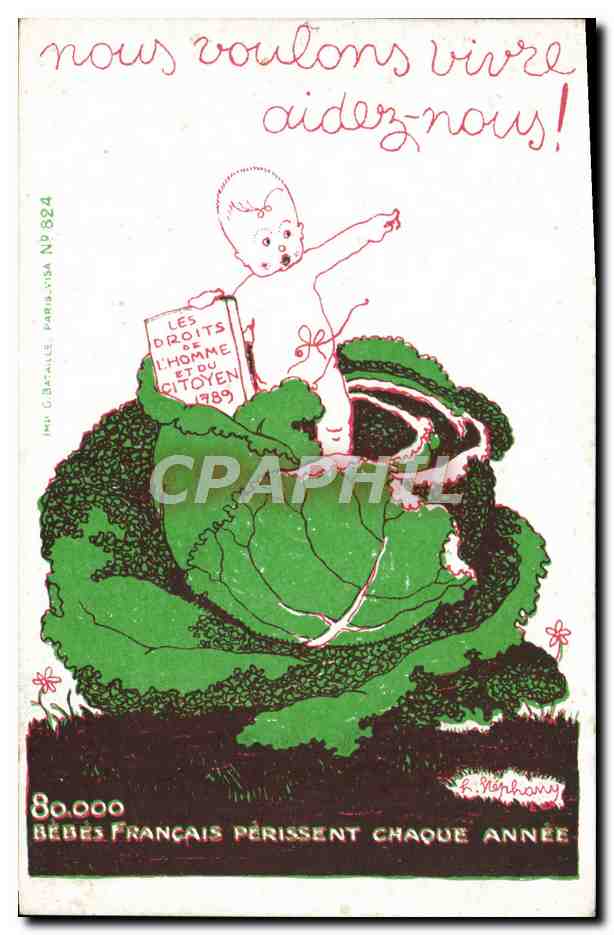 CPA Politique Satirique 80 000 bebes francais perissent chaque annee Choux Droits de l'homme et du citoyen 